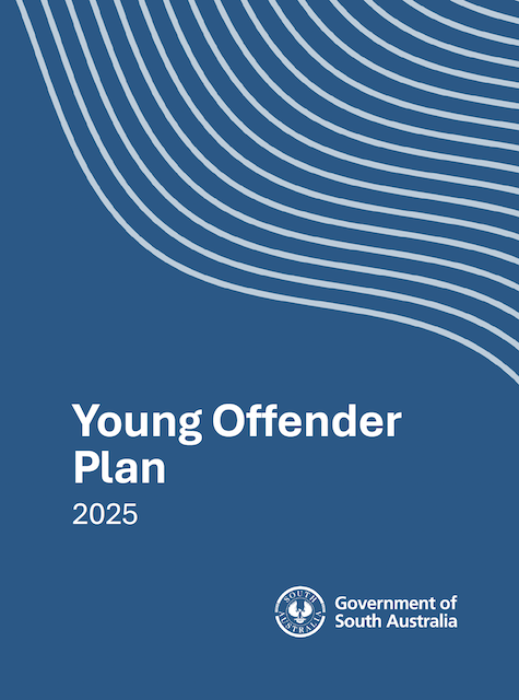 Young Offender Plan 2025